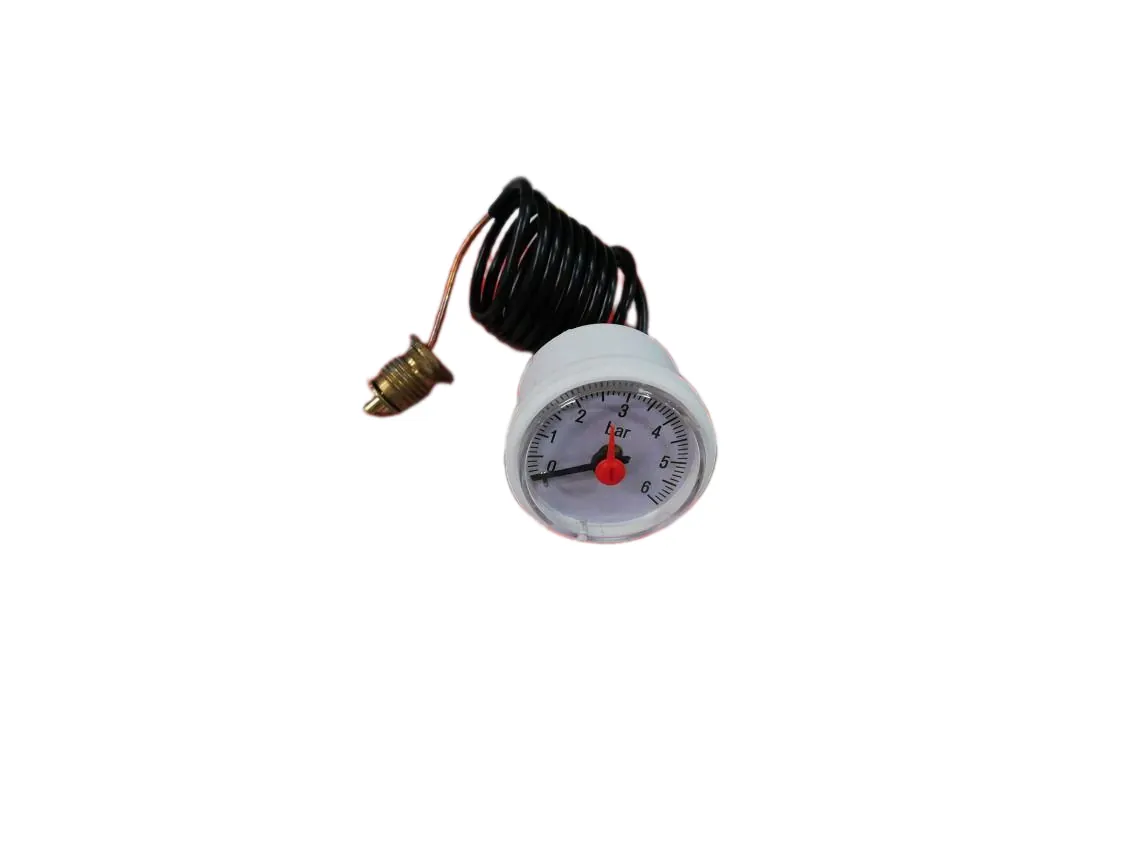 Pressure gauge Immergas Maior - Top - Hercules - Victrix 50 - 75 - 90 - 115 (Ø36-0/4b-1000mm-1/4M), part number 1.032363