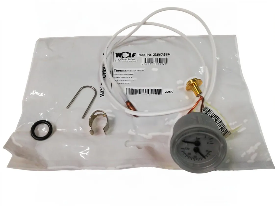 Termohidrómetro Wolf CGBK24, referencia 2039066