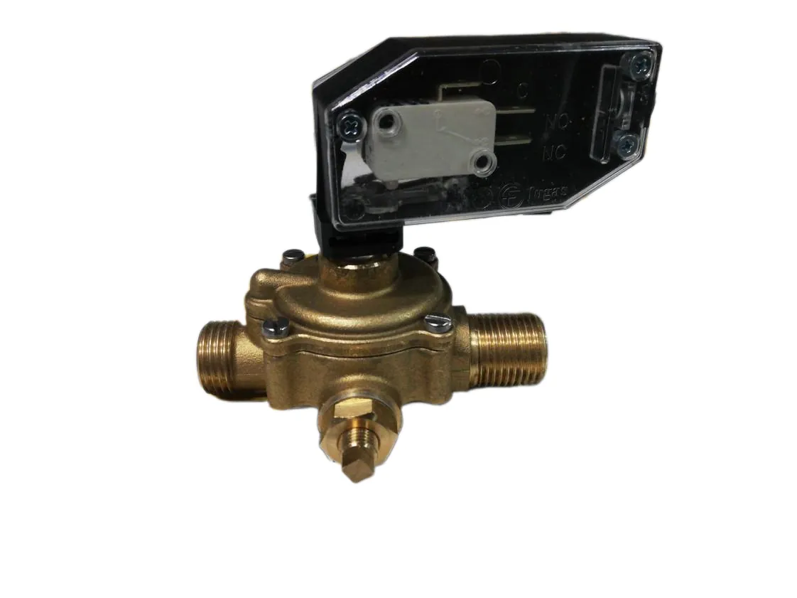 Flow switch Lamborghini Vit Leaks 2 micros without test point, part number 04040280