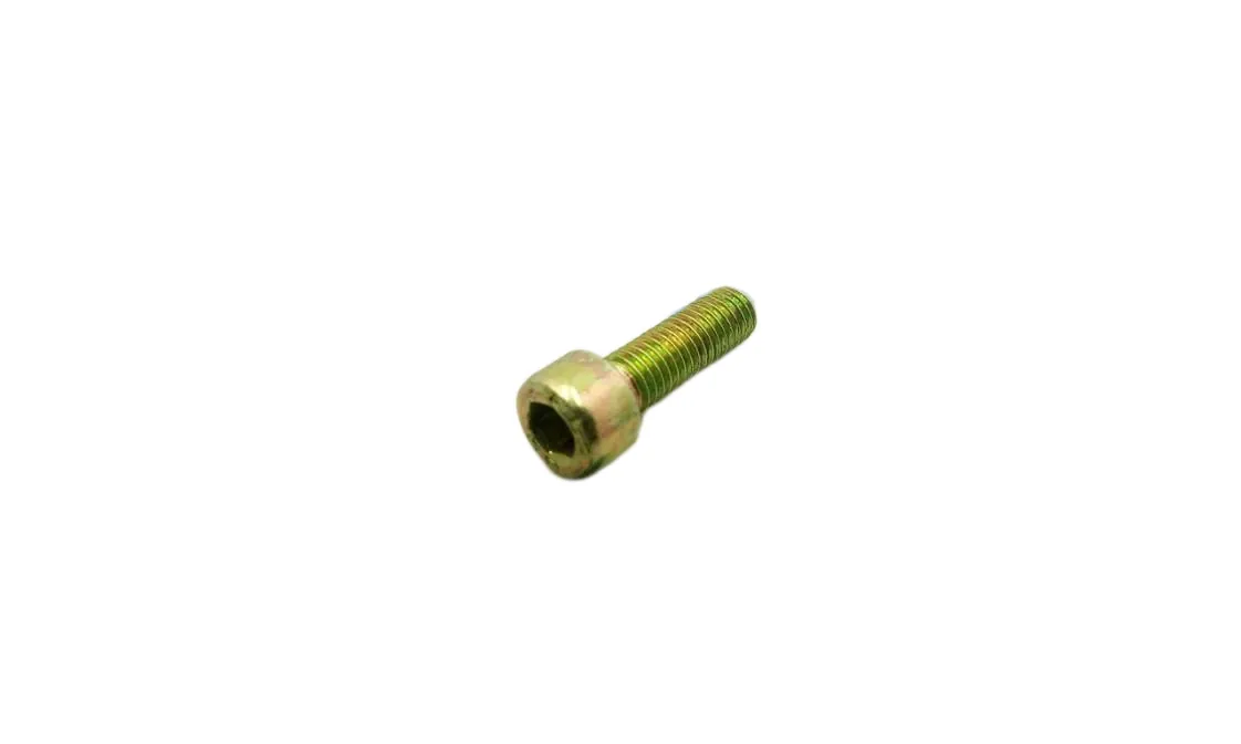 Tornillo Immergas M05x16mm Victrix Omnia 25 (3.016924), referencia 1.010289