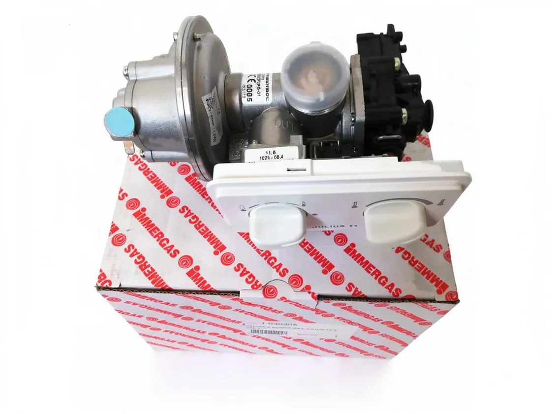 Cuerpo agua gas Immergas Julius 11 4 ErP metano, referencia 1.030305