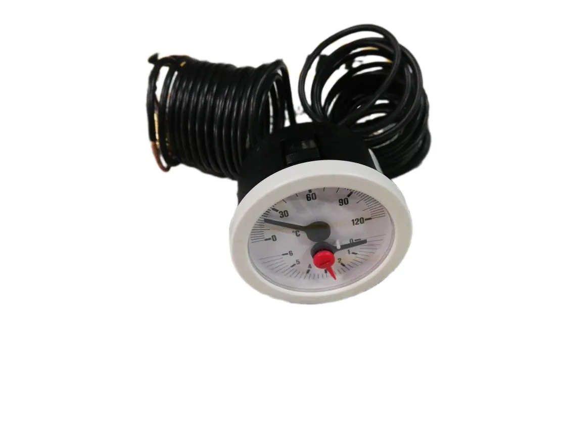 Termoidrometro Domusa (Ø52-0/6b-0/120º-2000mm), codice ricambio CELC000043