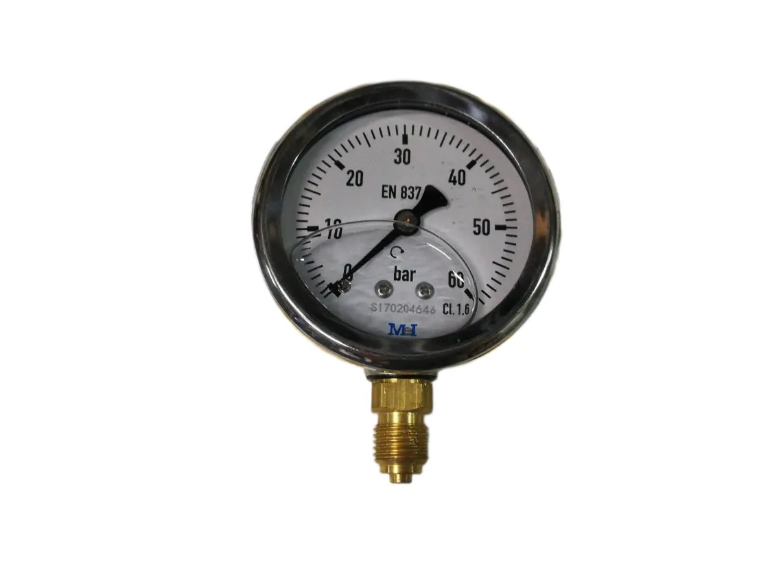 Manometro glicerina 0-060 bar Ø63mm 1/4M verticale, codice ricambio IU-014958